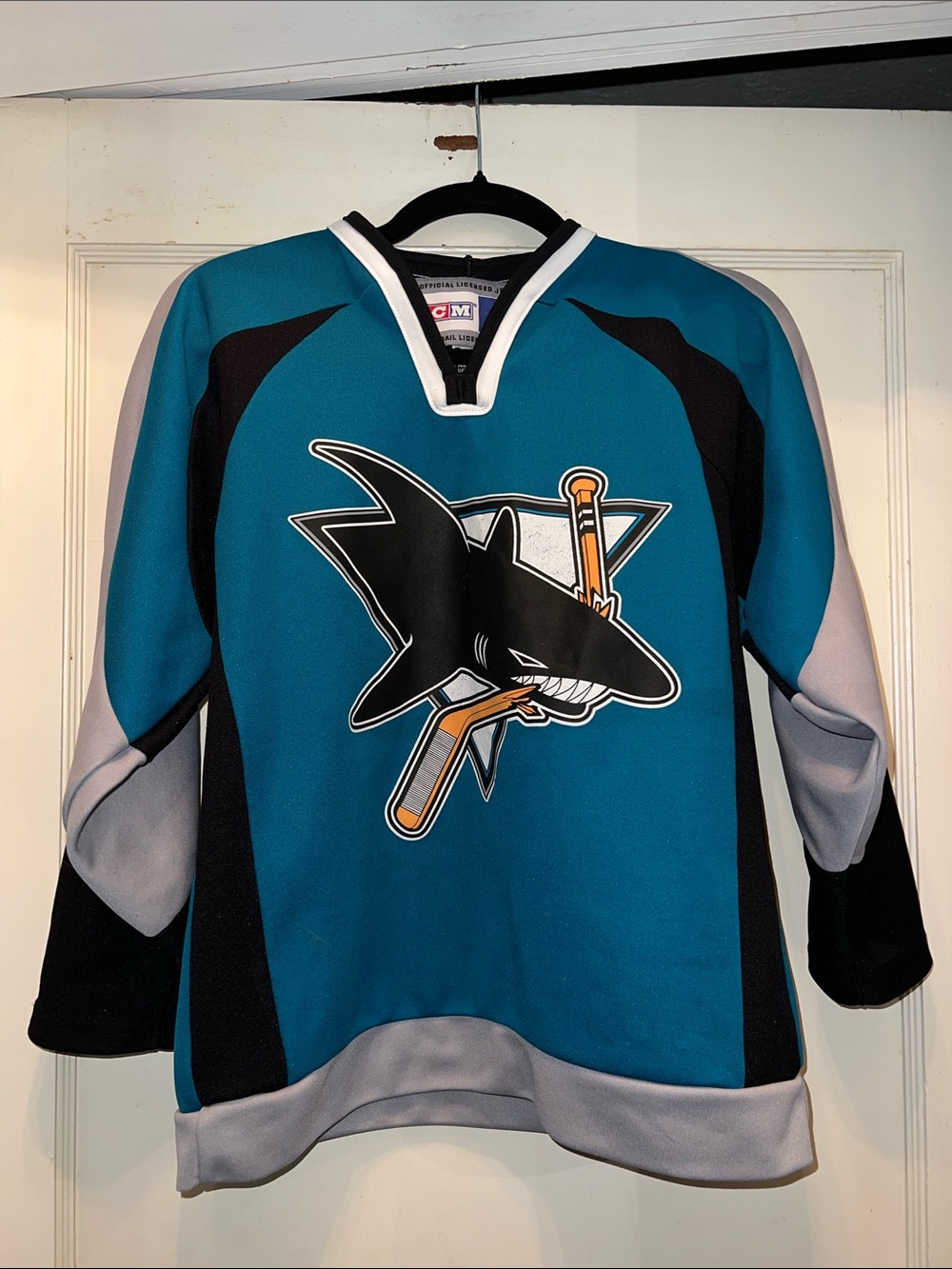 Y2K CCM NHL Canada San Diego Sharks youth XL JERSEY Ricci 18